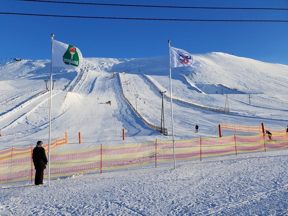 Hæfileikamótun alpagreina 28-30. desember