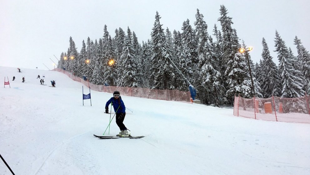 Hólmfríður Dóra í skoðun í dag