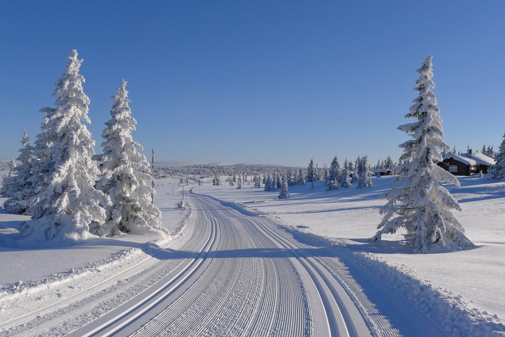 Hæfileikamótun í skíðagöngu - æfingaferð til Noregs
