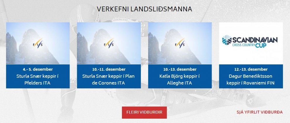 Skjáskot af heimasíðu SKÍ